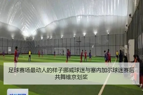 足球赛场最动人的样子挪威球迷与塞内加尔球迷赛后共舞维京划桨